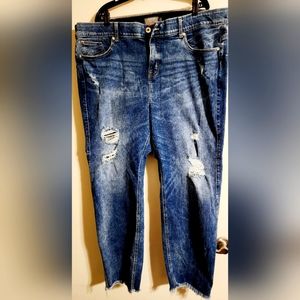 Torrid 26 Bombshell Jeans